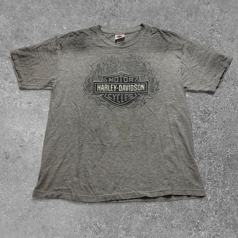 Harley Davidson Chicago Illinois Gray T-Shirt Flames Biker Graphic Mens L Hanes